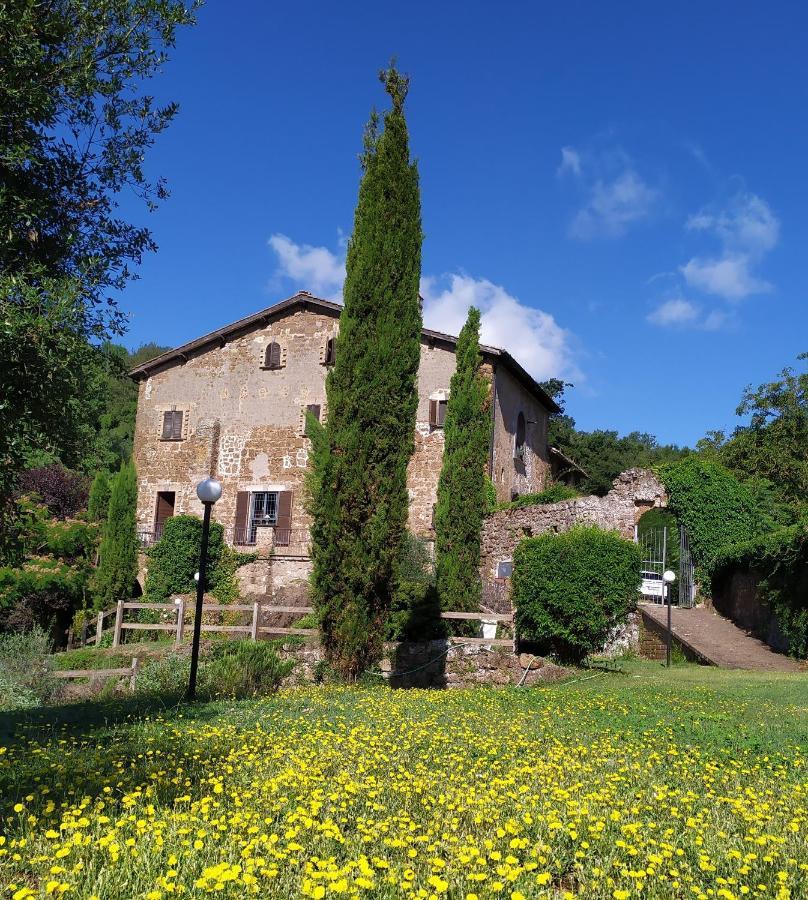 B&B Il Giardino Del Borgo Veiano ภายนอก รูปภาพ