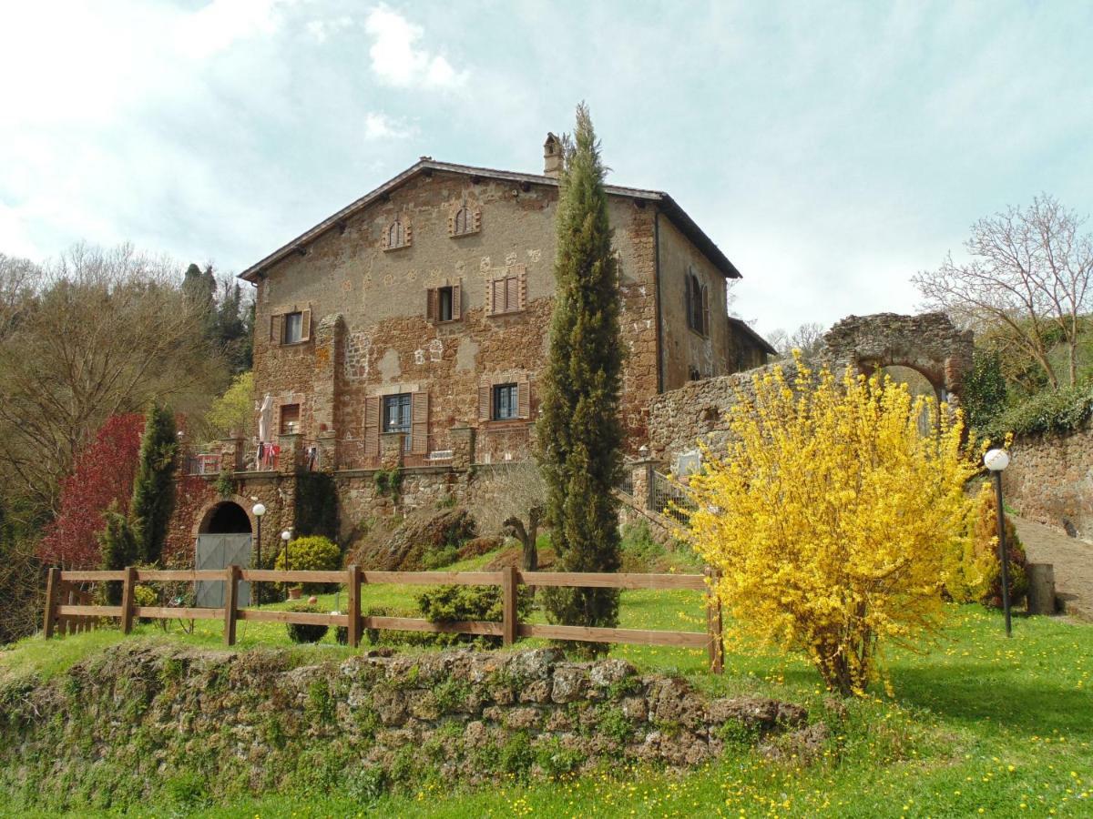 B&B Il Giardino Del Borgo Veiano ภายนอก รูปภาพ
